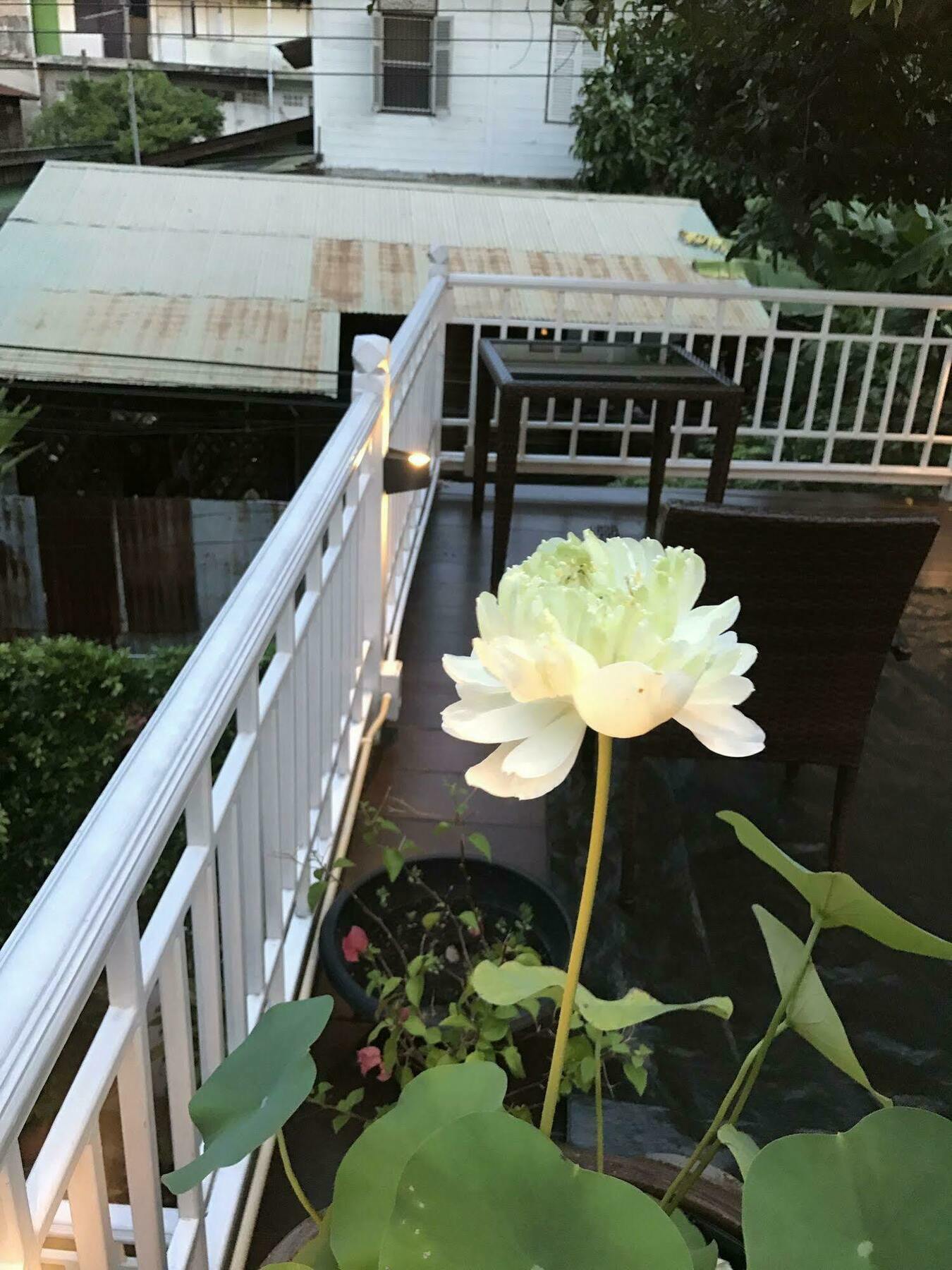 Baankachitpan Bangkok Hotel Εξωτερικό φωτογραφία